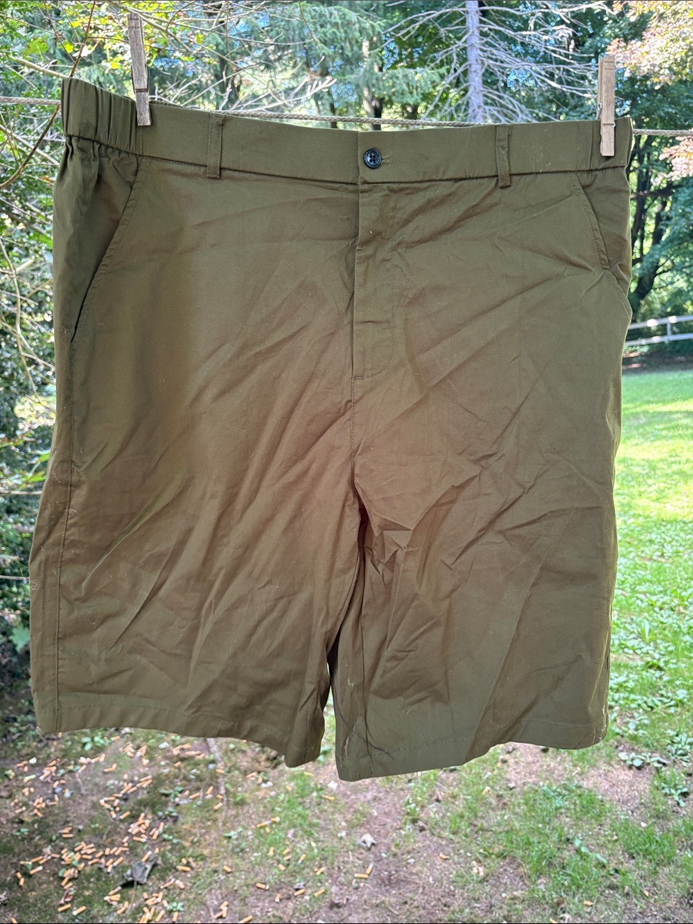Men's Olive Flat-Front Casual Shorts